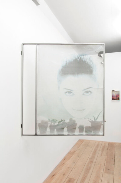 Gabriele Beveridge,?Newly Laundered Smile I, 2012.?Steel, perforated vinyl print, desiccated plants, handmade glass,?121 x 101 x 58?cm