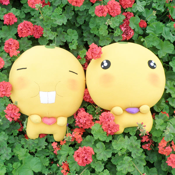 幸福豆豆,好可爱