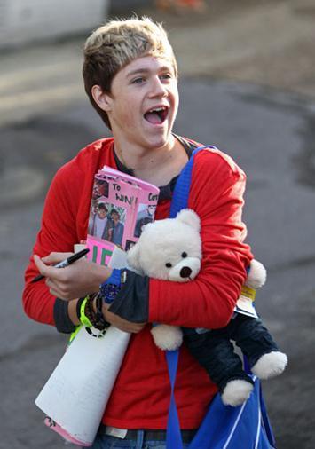Niall,One Direction里唯一一个爱尔兰成员 .Niall在12岁以前，他都是一直抱着他的泰迪熊睡觉，现在他的泰迪熊仍还在而且放在他的公寓里，长途旅行时也带着它