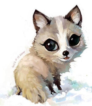 大眼睛小狐狸。