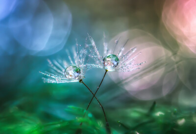 Photograph Light and Bokeh by Miki Asai on 500px