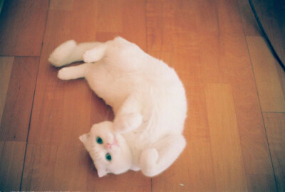 绿宝石般的眼睛