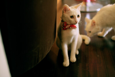 后面的 你在干嘛？？