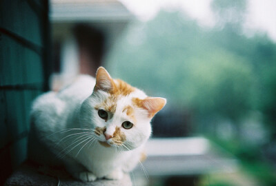 麻麻 你拿的是什么呀