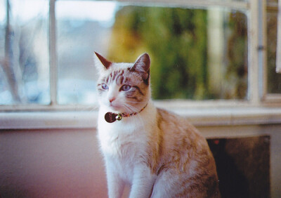 还是照侧脸好看！！~~~