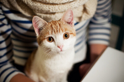 谁也比不过我眼睛大！