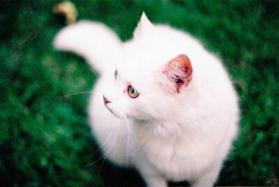 怎么样 ？我的倩影不错吧