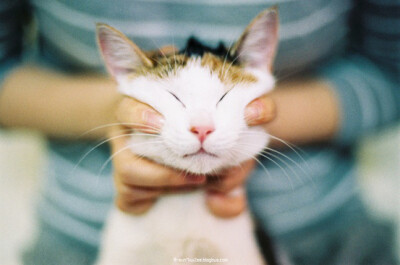 麻麻 你是要我变兔子吗