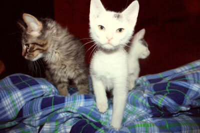 我错了 别走行么