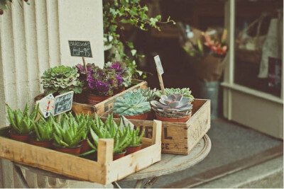 花的店