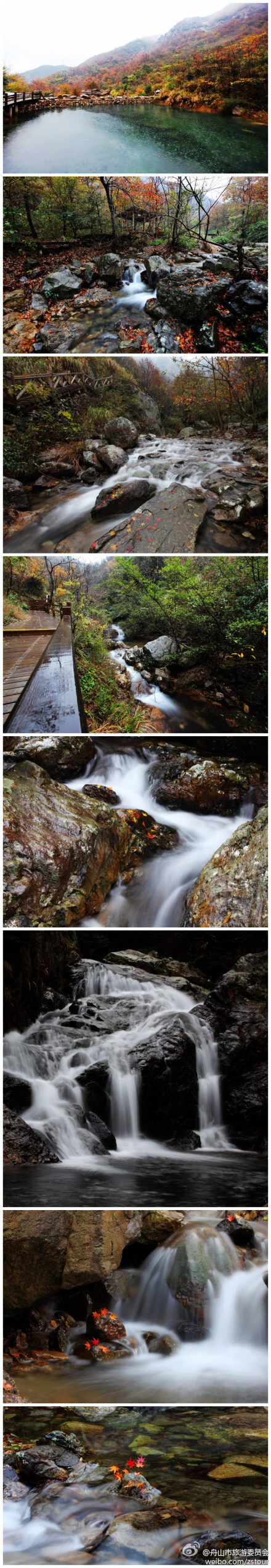 雨中的茶人谷，消红落叶,潺潺流水,断崖朽石,一幅活生生琴瑟合鸣景象。