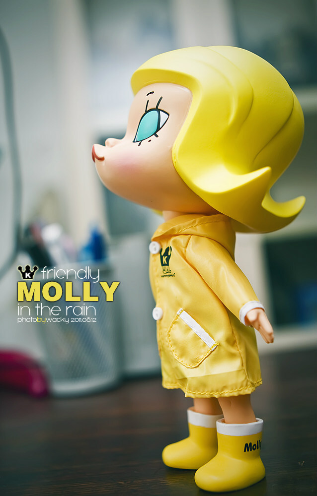 小molly