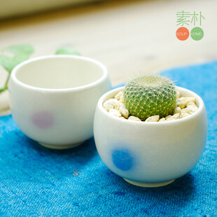 三色晕染圆点陶瓷花盆 多肉植物袖珍小花盆 可做小茶杯