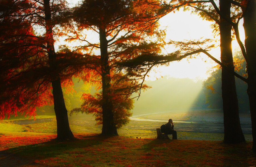 Photograph take a rest by Andy 58 on 500px