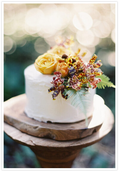 Fall wedding cake B162