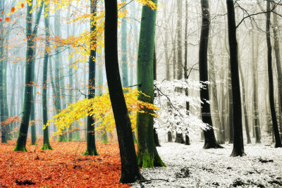 Photograph Changing Seasons by Lars van de Goor on 500px