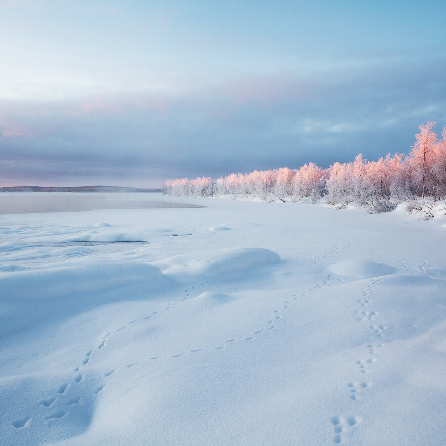 Photograph Arctic Finland by Simon Byrne on 500px