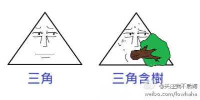 三角含树啊！哈哈哈。。。原谅我一生放荡不羁笑点低。。。（图by 拉拉miko）