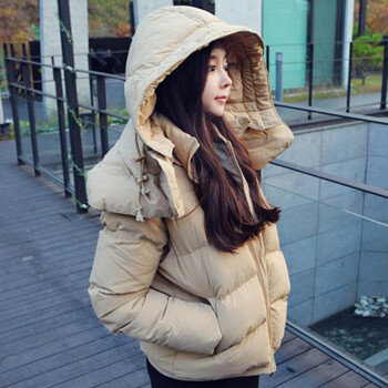 2012韩国进口冬装新款女装短款韩版羽绒服连帽保暖显瘦羽绒服外套