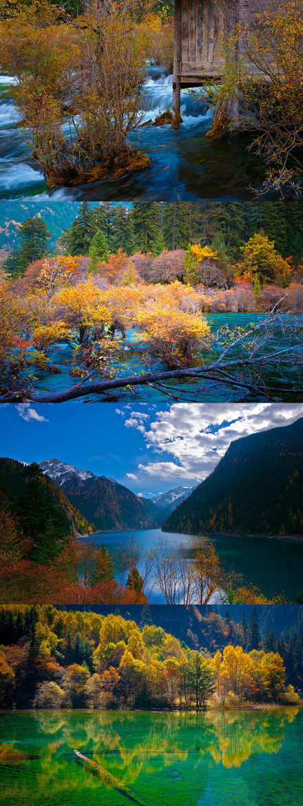 秋天的九寨…这样的美景，值得你放下所有的忙碌，出去走一走…HeAltH-yuNNAN-CN\gANbiNg