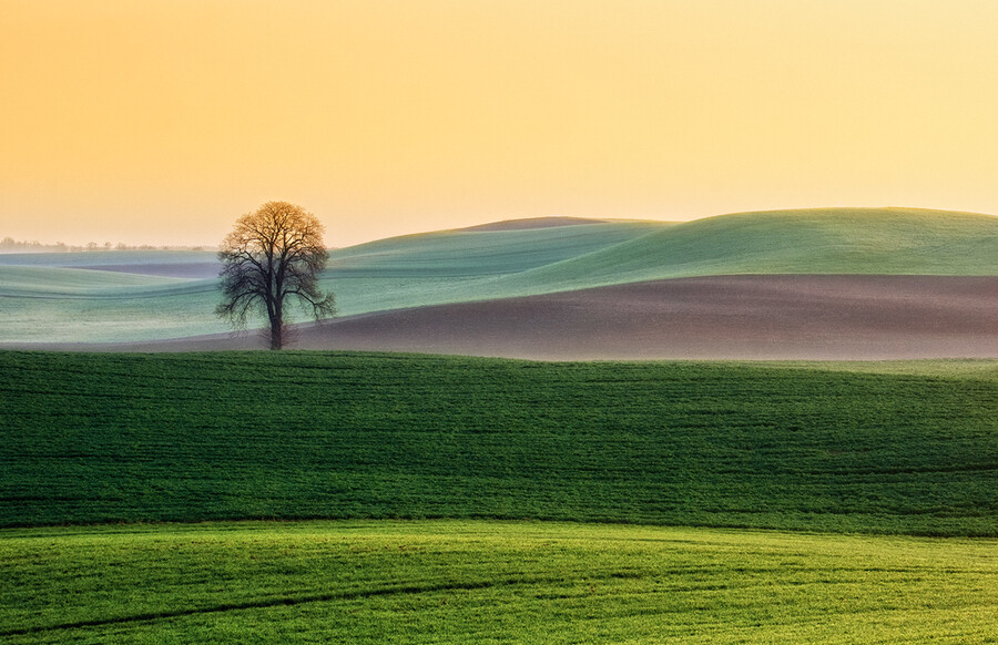 Photograph One by Paweł Bożek on 500px