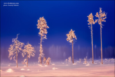 Photograph Foggy night by Анатолий Соколов(Anatoly Sokolov) on 500px