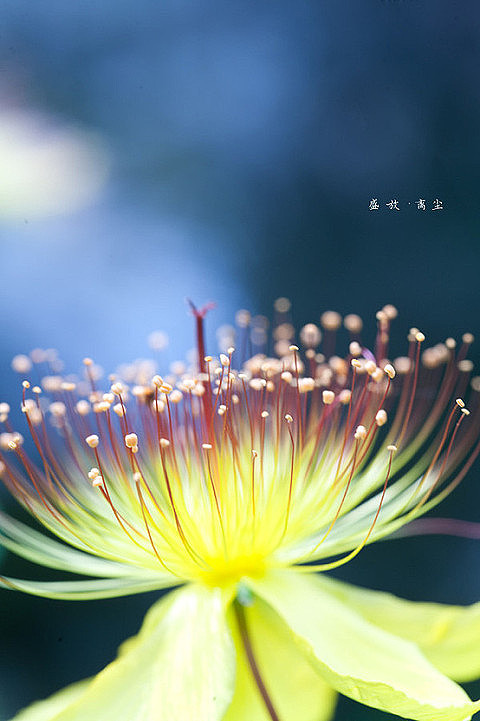 到最后,你总会明白,谁是虚心假意,谁是真心实意,谁为了你不顾一切.