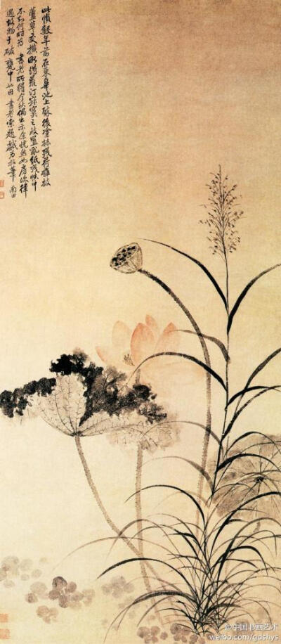 清 恽寿平《荷花芦草图》--- 此画描绘了秋风萧瑟之中，一茎新荷凌空而出，盛放的花瓣娇艳动人，与凋残半枯的荷叶以及枯槁无色的莲蓬形成鲜明对比。荷花以恽寿平特有的没骨画法绘出，色调清丽冷艳，用笔洒脱飘逸，营…