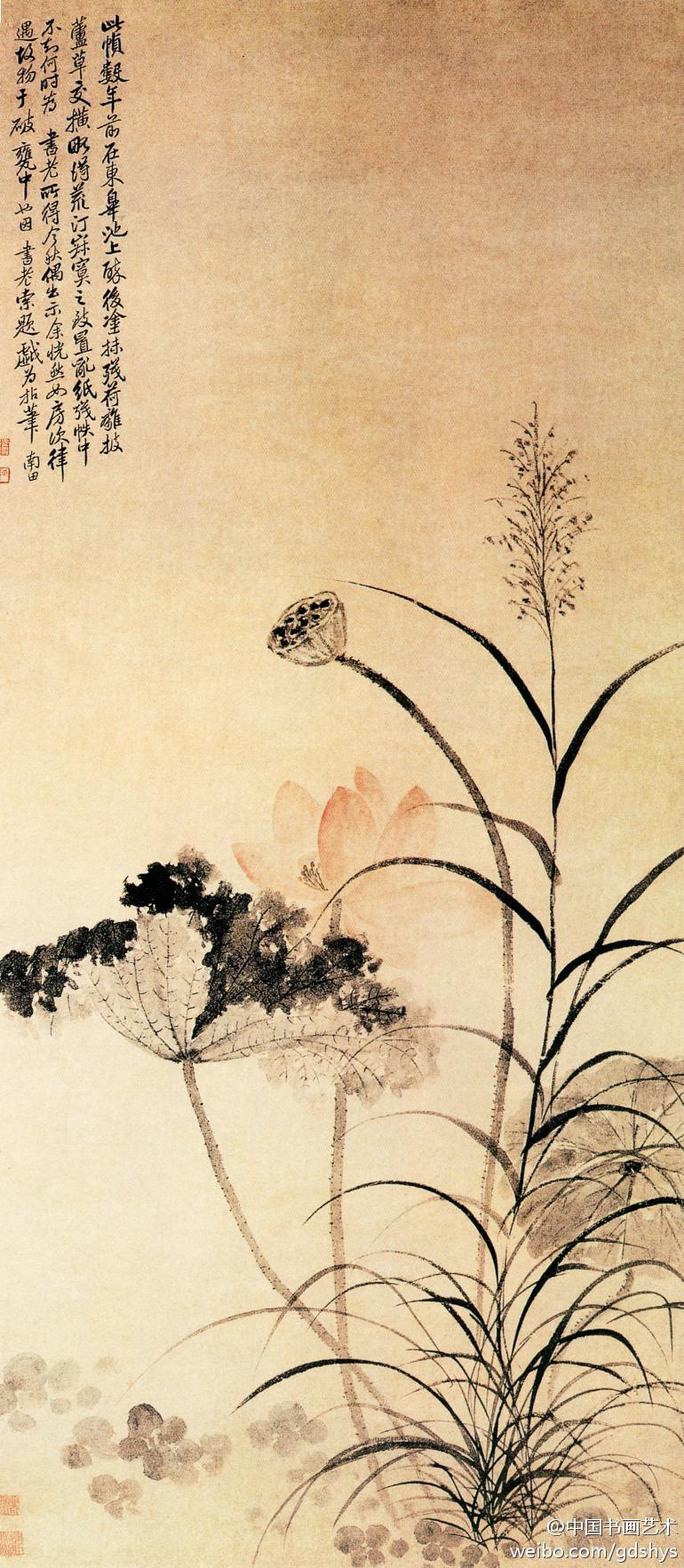 清 恽寿平《荷花芦草图》 此画描绘了秋风萧瑟之中，一茎新荷凌空而出，盛放的花瓣娇艳动人，与凋残半枯的荷叶以及枯槁无色的莲蓬形成鲜明对比。荷花以恽寿平特有的没骨画法绘出，色调清丽冷艳，用笔洒脱飘逸，营造出一派空潆的韵味。