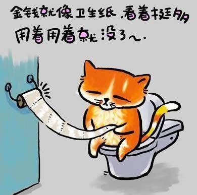  猫猫语录.. 金钱就像卫生纸..