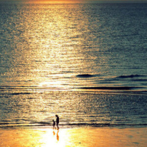 我坐在夕阳里，看日出复活，我坐在沙滩上，看城市的衰落。