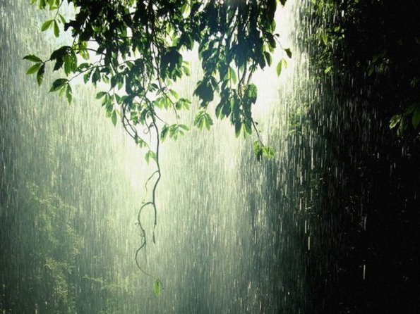 创意的雨中摄影照片