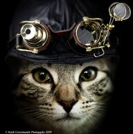 Steampunk cat. :)