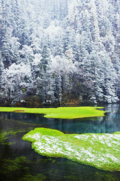 九寨沟-九寨沟看水，这是怎么的一种景色，仿佛季节在这里停滞了