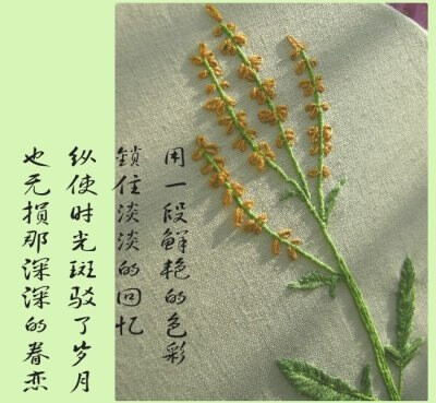 油菜花~ 第一次绣东西 细节还处理不大好 为立体刺绣做准备！