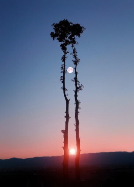 日月同辉的衬托，两棵树的守望。│摄影师：Bess Hamiti