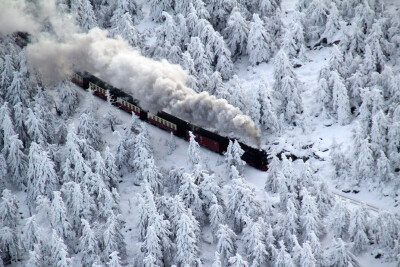 一列火车穿过德国哈尔茨山区白雪覆盖的松树林，摄影师Stefan Rampfel/European Pressphoto Agency