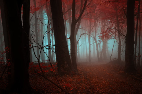 Janek Sedlar