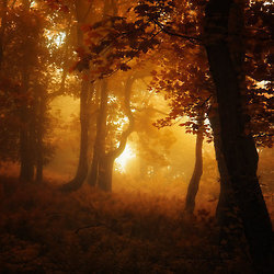 Janek Sedlar