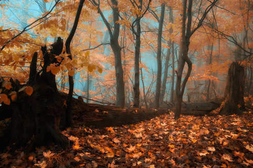 Janek Sedlar