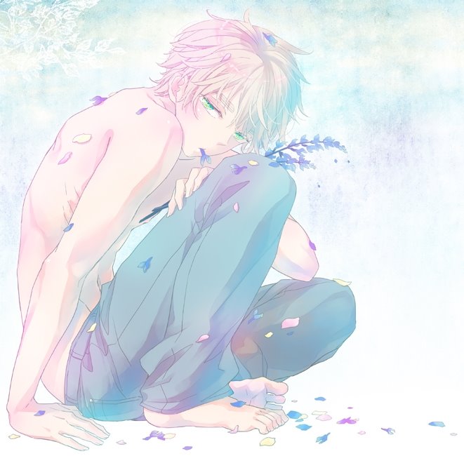 【鲸·浆果少年篇】不能飞行的翅膀也是有意义的，因为它承载着过去在天空翱翔的美好记忆。