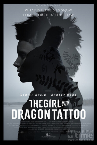 龙纹身的女孩The Girl with the Dragon Tattoo(2011) 《龙纹身的女孩》源于瑞典推理小说名家斯蒂格·拉赫松《千禧年》（The Millennium Trilogy）三部曲的第一部。鲁妮·玛拉身上和脸上的那些穿刺，包括鼻环、唇环、眉…