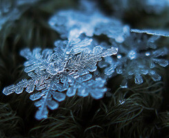 司叹雪微影 - 影 - 1688坛 - 说霞园