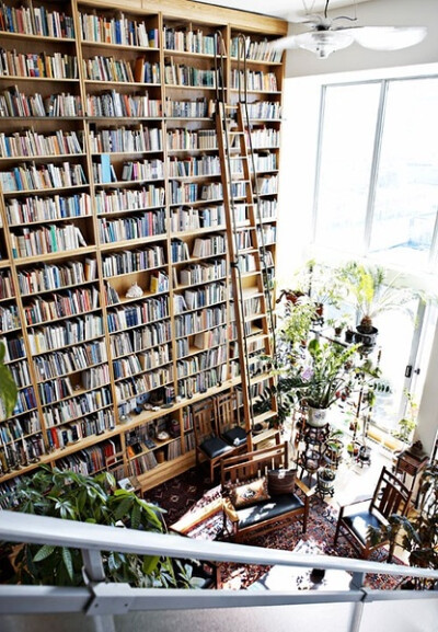 Dream library