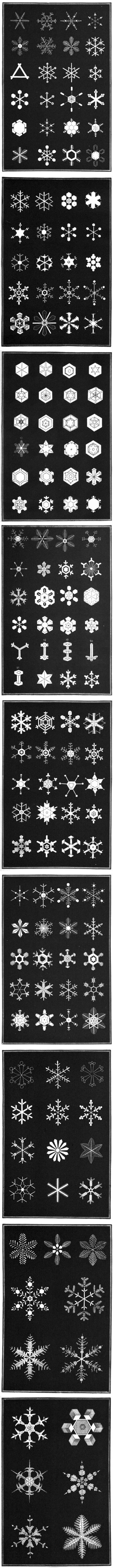 《Snowflakes》各种雪花，1863， by：Amer. tract society in Boston ..