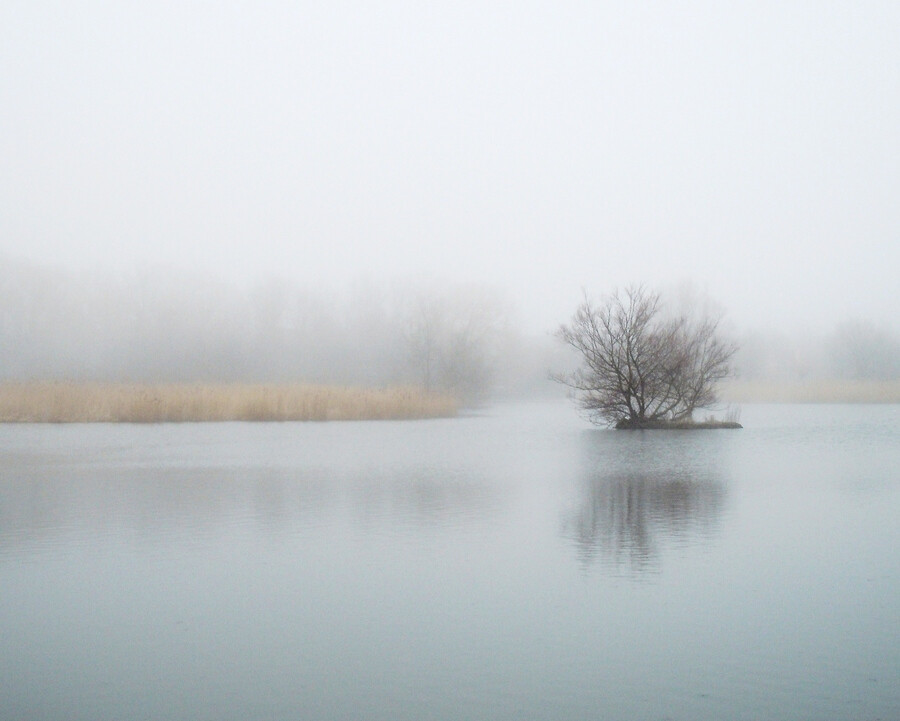 Photograph Untitled by marie_granelli on 500px