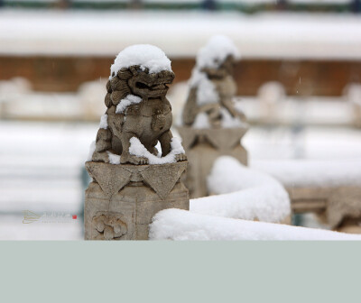 京城·雪·故宫（刑警视觉/摄影）