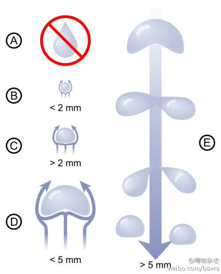 【雨滴是什么形状？】如果你以为雨滴是你想象的那个头大尾尖的样子你就错了——直径小于2毫米的雨滴会保持球体，2毫米到5毫米的雨滴会由于空气阻力下面凹陷进去，5毫米以上的雨滴会被迎面而来的空气打破成更小的雨滴。