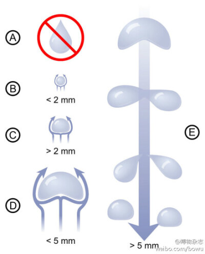 【雨滴是什么形状？】如果你以为雨滴是你想象的那个头大尾尖的样子你就错了——直径小于2毫米的雨滴会保持球体，2毫米到5毫米的雨滴会由于空气阻力下面凹陷进去，5毫米以上的雨滴会被迎面而来的空气打破成更小的雨滴…