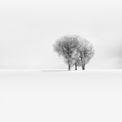 Photograph snowscape_IV by Vassilis Tangoulis on 500px